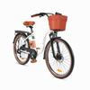 DYU C6 Pro 26" Urban Electric Bike, 36V 15.6Ah, 250W, 25KM/H, 60-80KM Range, Pedal Assist, Adjustable Seat, City E-Bike for Adults