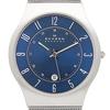 Skagen Unisex Titanium Watch 233XLTTN