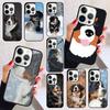 Bernese Mountain Dog Phone Case for iPhone 17 Air 16 16e 15 Plus for Apple 13 11 12 14 Pro Max Cover Coque Shell