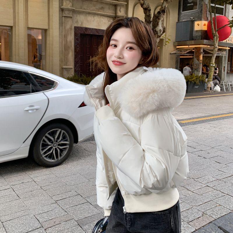 Winter Damen Dicke Taillenbetonende Kurze Jacke mit Warmem Pelzkragen und Kapuze Abnehmbare Kapuze