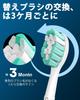 Ofashu Replacement Brush Heads for Philips Sonicare Electric Plaque Regular with Hygiene for Home and Travel Use Toothbrushes, Removal, Size, Cover,