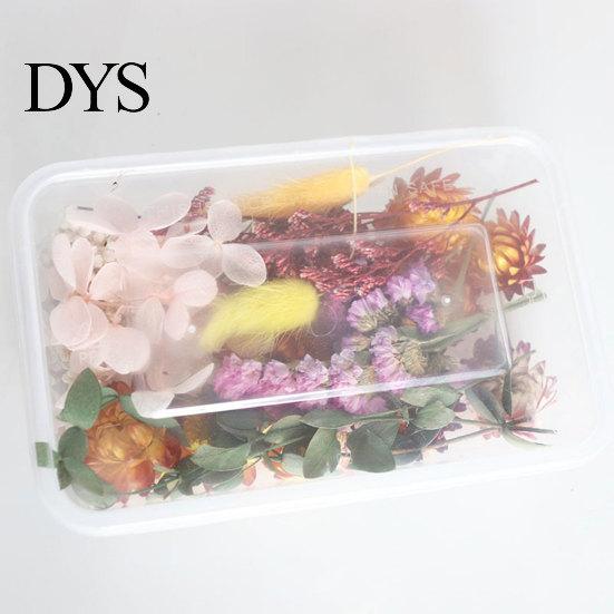 Sušené květiny Domácí fotografické rekvizity DIY ozdoba Řemeslný vzorek Příslušenství