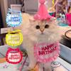 Soft Cat Birthday Scarf Hat Set with Digital Stickers Cat Saliva Towel  Birthday Party