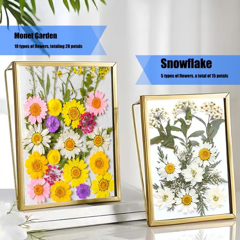 205Pcs Pressed Dried Flower For Resin Natural Dry Flower Leaf with Tweezers Sticker for Art Craft Candle Jewelry Making