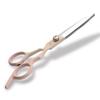 Stainless Steel Hairdressing Scissors & Thinning Shears Set for Cutting and Styling