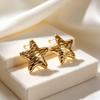 High-End Gold Star Stainless Steel Earrings