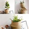 Flowerpot Basket Seaweed Natural Color Middle Diameter 11cm Flower Basket Storage Basket Dirty