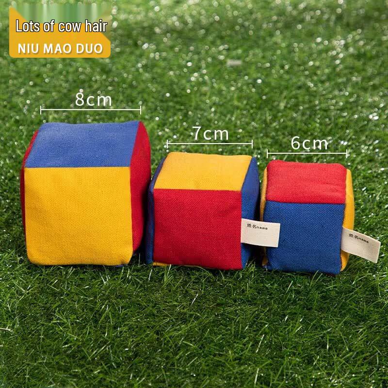 

Kids Durable Canvas Throwing Sandbag 3-Piece Set