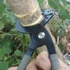 Multifunction Pruning Shears Scissors With High Carbon Steel Blade Suitable For Fruit Trees Gardening Plant Maintenance