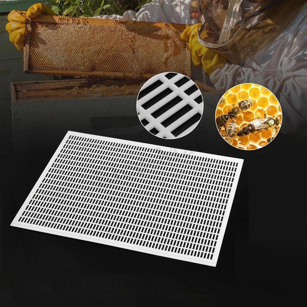 Bee Frames Queen Excluder Set ABS Material Beekeeping Accessories for Backyard Livestock Supplies
