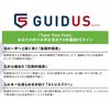 Gosen Guidus PE x9 150m Light Green 1.2