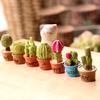 5Pcs Miniature Succulent Plant In Pot For Dollhouse Furniture Decoration Home