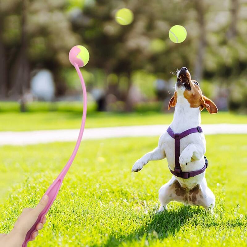 

Dog Ball Throw Toy
