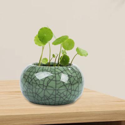 Ceramic Bowl Lotus Planter Round Mini Flowerpot Glazed Bonsai Bowl Lotus Pot for Planting Pennywort Small Hydroponic Plants