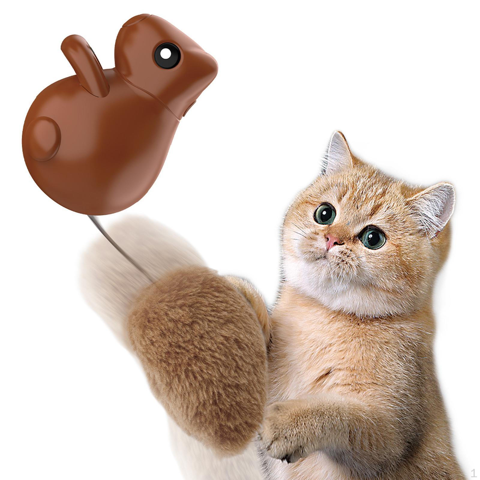 

Interactive Cat Toy Automatic Retractable Exercise Kitty Electric Teaser