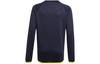 Adidas Kids Sweatshirts Crew Neck Moderate GN1481