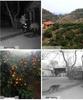 HD Infrared Night Vision Outdoor Hunting and Time-Lapse Camera
