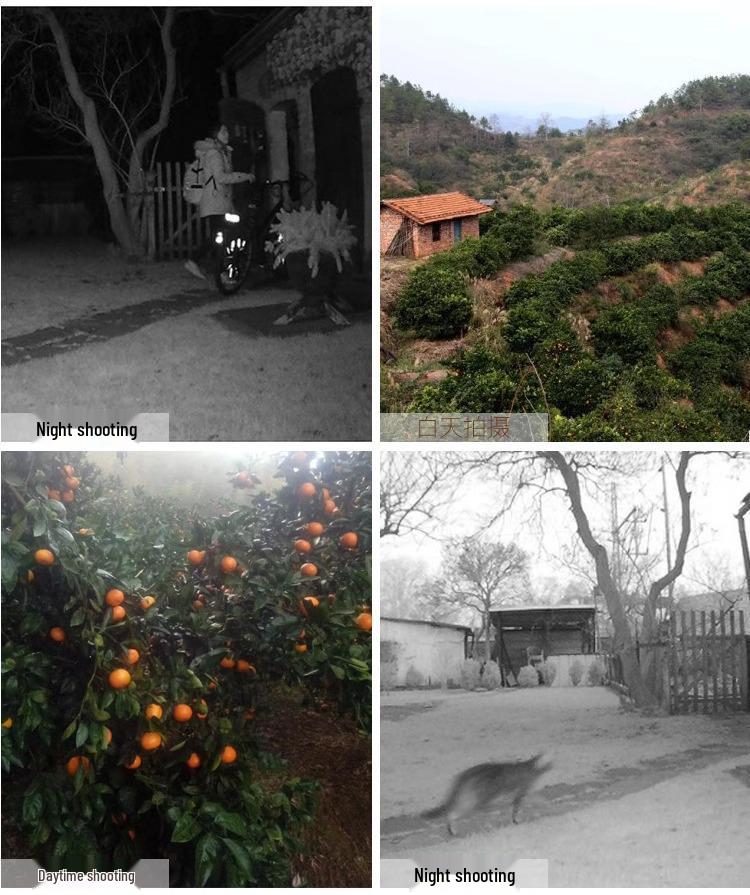 HD Infrarot Nachtsicht Outdoor Jagd- und Zeitrafferkamera