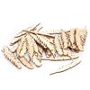 50pcs Unfinished Wood Wooden Craft Tags Feather Wood Feather Cutouts  Wall Decoration