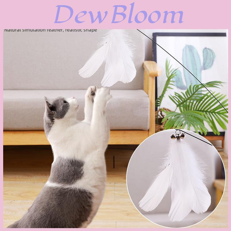 Pet Cat Teaser Stick With Feather And Plastic Rod For Interactive Play