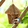Hummingbird Cage House Outdoor Cage Nest Box Nest Cage Standing Hideouts Hummingbird Toy for Small Bird