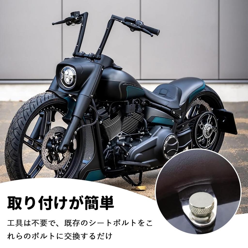 Nakrętki i śruby siedzenia błotnika Śruby Nakrętki Poduszka Śruby i nakrętki mocujące Akcesoria nakrętek siedzenia lokomotywy Pasuje do mocowań 1/4" Harley, Srebrny