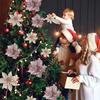 Bethlehem Star for the Christmas Tree Flowers 6pcs Champagne [Se-Gb21]