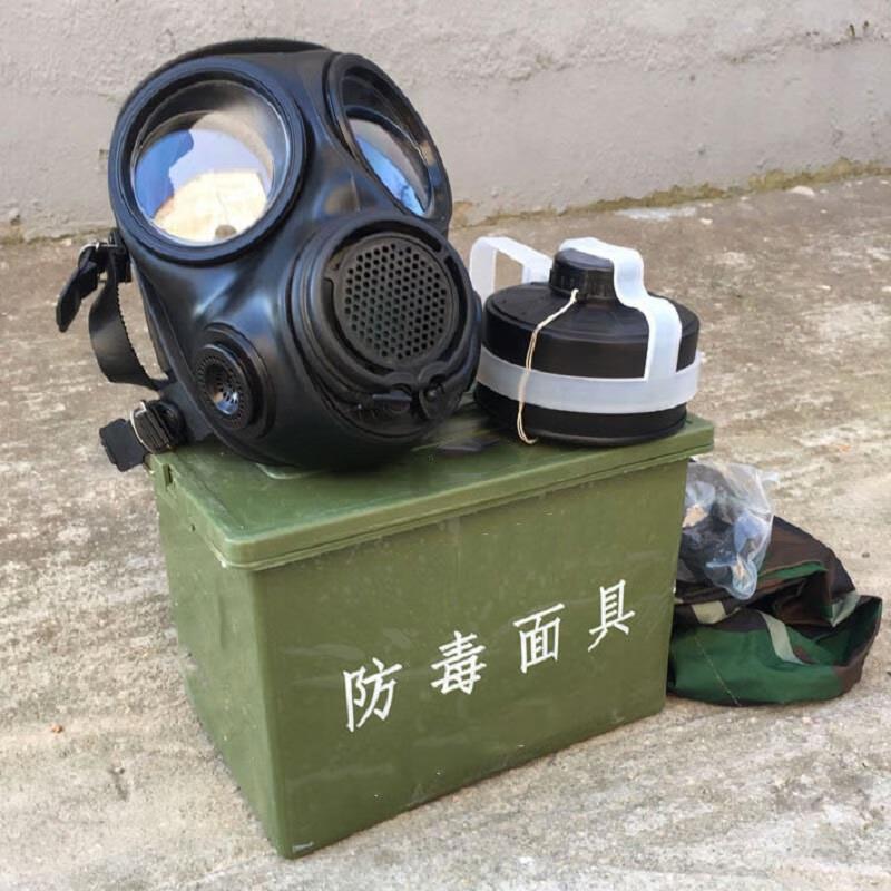 Banggu Full-Face Gas Mask with Dual Filters Universal