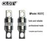 OLOEY RGS11 Fast-Acting Fuse