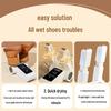 Multi-Function Smart Shoe Dryer with Timer and Deodorizing Sterilizer