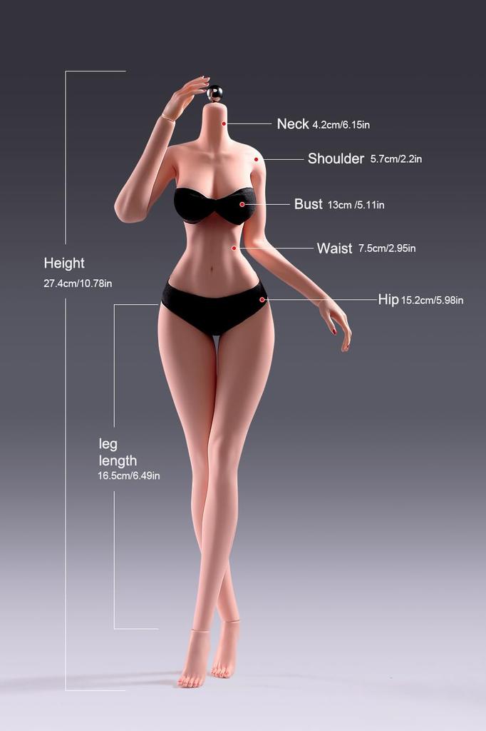 Scale Female Armored Super Flexible Seamless Female Figure Narrow and Full Miniature Action Figure Doll 1/6 Body, 12-inch, Body, Slender, Voluptuous,