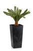 Donica Porto Czarny Beton H46X25X25 Cm