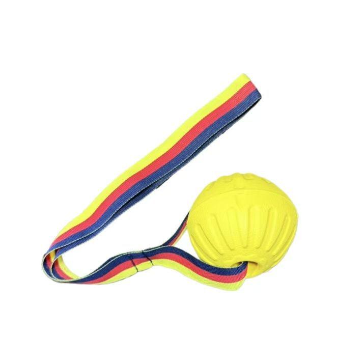 Dog Bite-Resistant Molar Frisbee Toy for Border Collies, Golden Retrievers, and Corgis