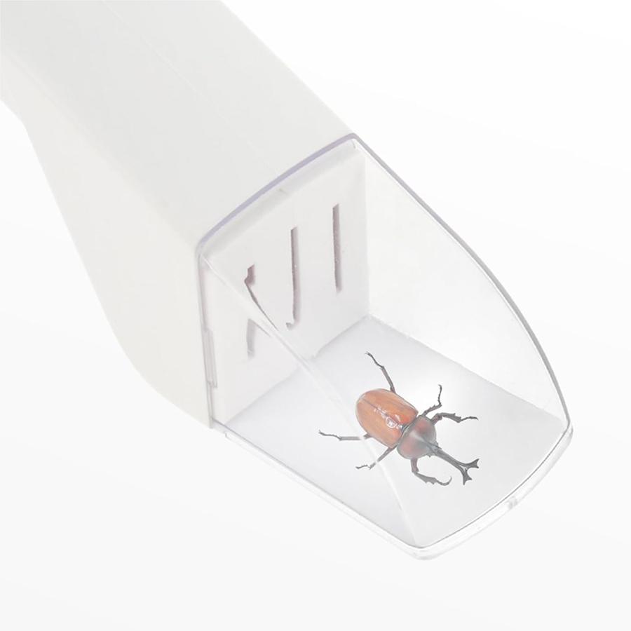 Fly Trap Insect Catcher Moth Fruit Traps Mosquito Worm Wasps Cockroach Ant Cockroaches Repellent Bug Wasp Flies Catch Flycatcher