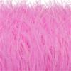 Feather1 Bundle Piume di Struzzo Naturali Filo Colorato 10-15/15-18CM Piumaggio Soffice Per Abiti Borsa Decorazione Artigianato Cucito