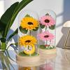 Christmas Gift Glass Cover Creative Ornament LED Night Light Graduation Season Teacher Gift Sunflower Sunflower