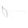 Used New SWANS Made In Japan Sunglasses Spare Lenses Replacement Lenses for Lionsin L-LI_SIN-0412_CLA 0412 Clear (Claritex Water Repellent Treatment