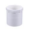 UPVC Female Threaded Water Supply Pipe Fittings, 20mm Straight, PVC, White/Gray