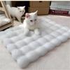 Warm Space Capsule Cat Bed with Cushion and Thick Blanket