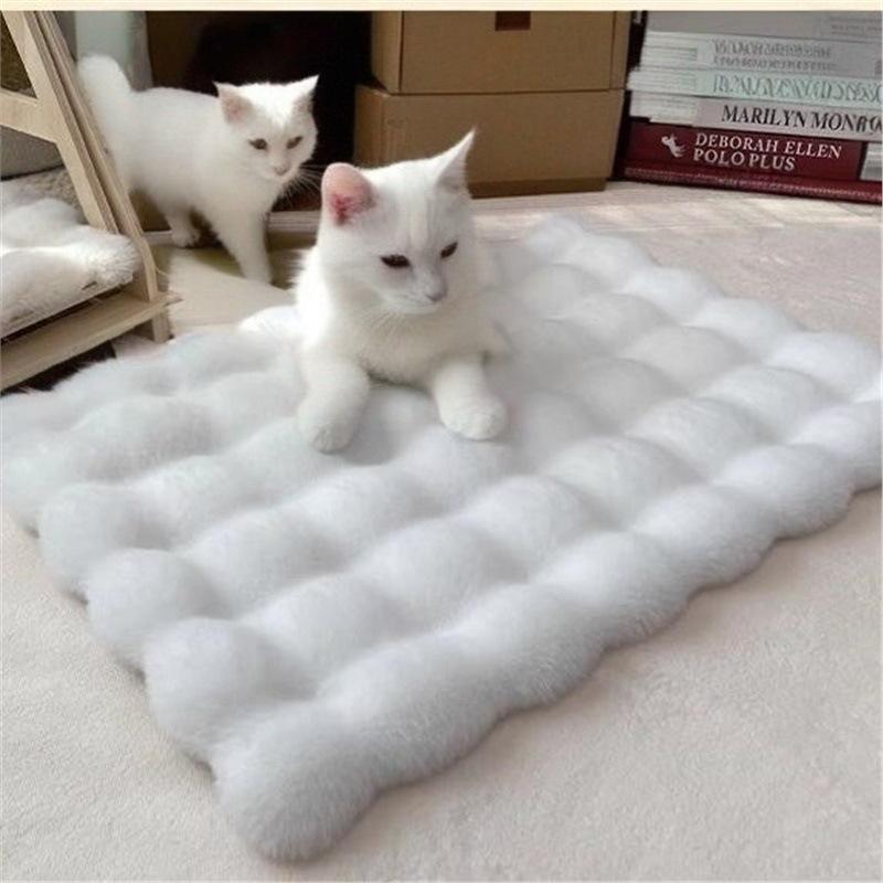 Warm Space Capsule Cat Bed with Cushion and Thick Blanket
