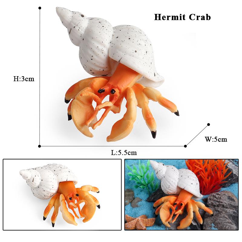 Oenux Ocean Starfish Sea Anemone Coral Jellyfish Squid Shrimp Crab Shark Animals Model Action Figures PVC Miniature Kid Toy Gift