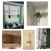 Indoor Macrame Hooks Flower Pot Holder Hanging Basket Garden Hanging Rope Plant Hanger