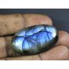 70Cts. Natural Labradorite Blue Fire Oval Cabochon Loose Gemstone 23X40X08MM B-01