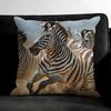 Zebra Cushion Cover Pillowcase Ultra Soft Skin Friendly Fabric Cloud Like Comfort & Concealed Zipper