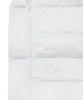 MADDEN Yeti Padded Pants Grey