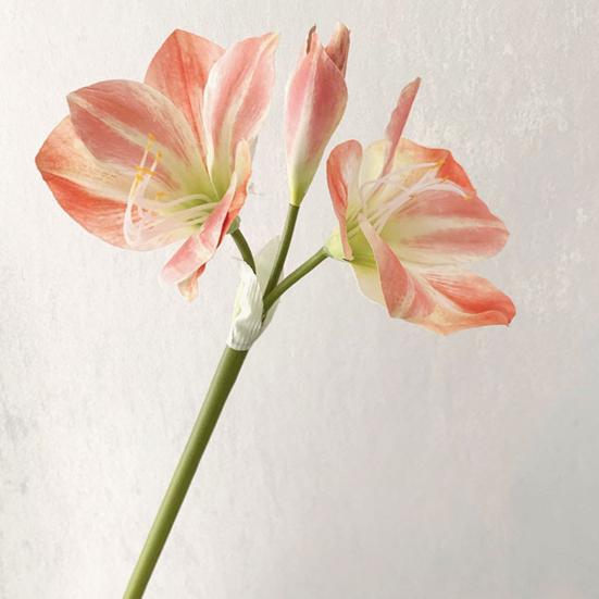 22" Real Touch Künstlicher Amaryllis-Strauß Langer Stiel Seidenblume mit 2 vollen Blüten und 1 Knospe für Haus Büro Vase Blumengestecke