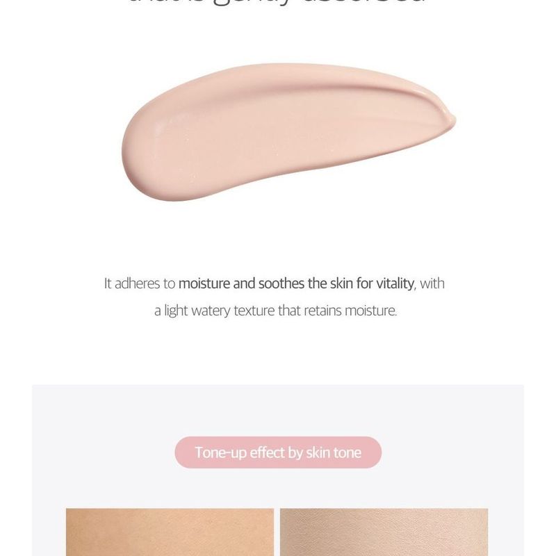 ROUND LAB - Birch Juice Moisturizing Tone Up Sunscreen