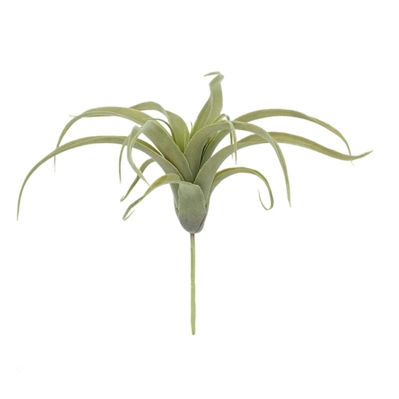 Realistic Faux Tillandsia Succulents Artificial Air Plant For Indoor Home Office Green Plant for Shelf Desk Decoration