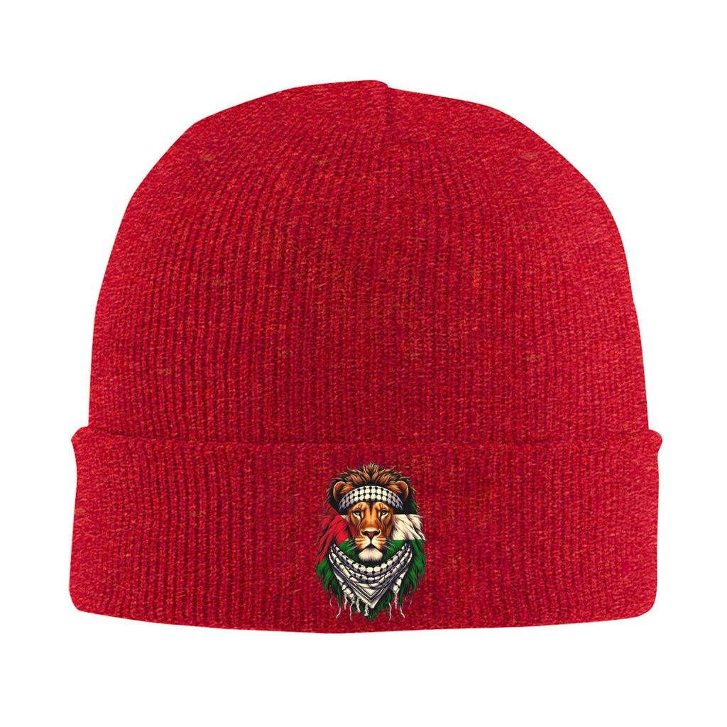 Knit Hat  Beanie Hats Hippie Elastic Men Women Bonnet Hats Winter Design Trendy Caps Gift