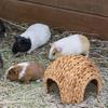 Túnel Seguro para Conejos Casa de Hierba para Conejos Escondite Natural de Tule Casa de Tule Hecha a Mano Para Chinchilla Cobaya Conejo